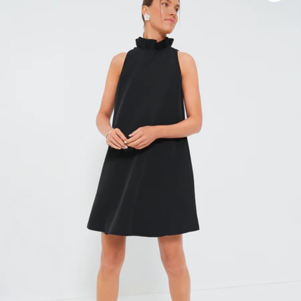 Elegant Black Woman’s Tuckernuck Dress